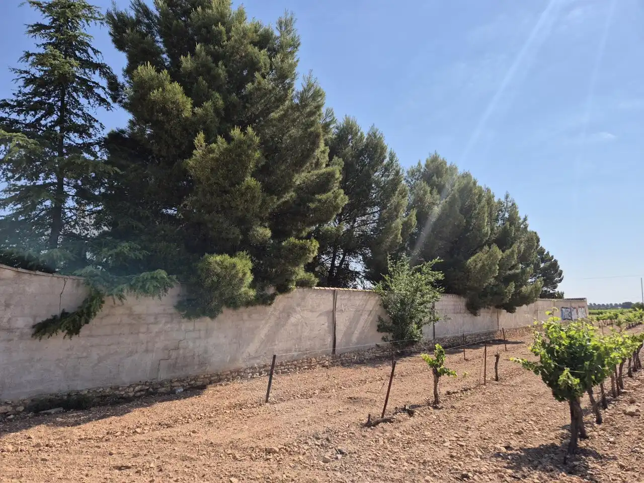 Country homes for sale in Campo de Criptana  with Private garden, Terrace and Swimming Pool