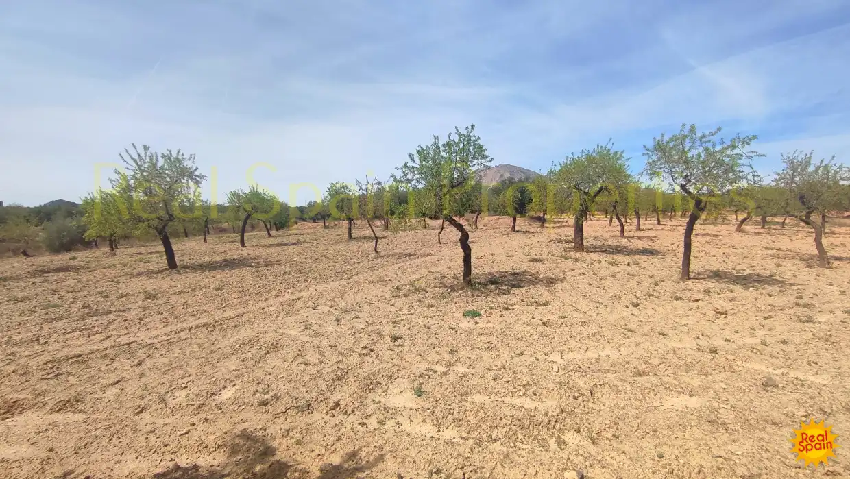 Residential land for sale in Vélez-Rubio, imagen 21