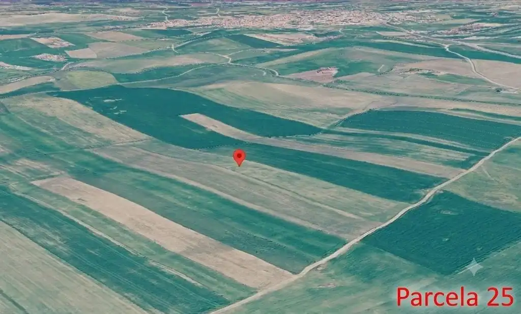 Terreny en venda en Fuente de Cantos