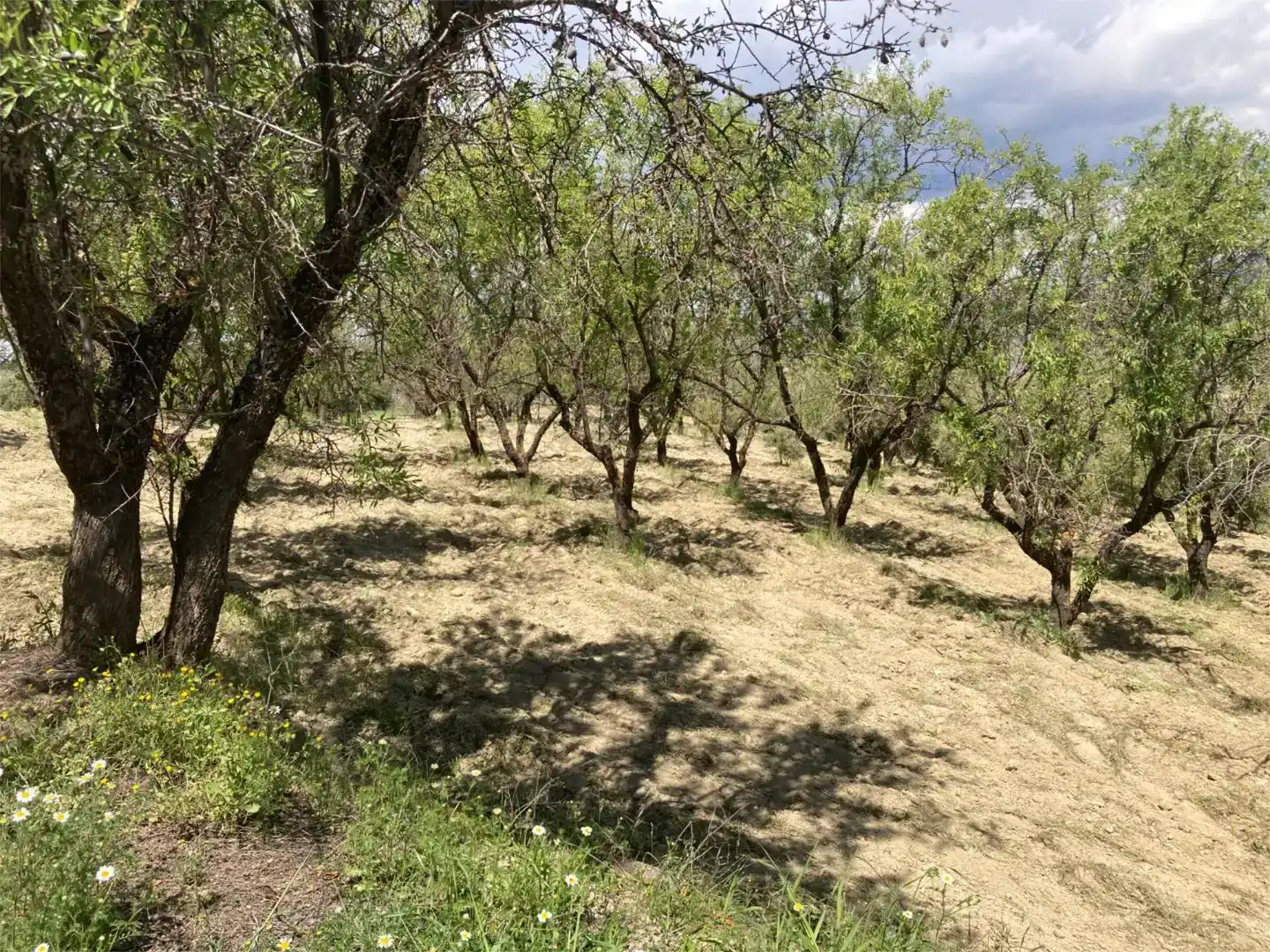 Finca rústica en venda en Güéjar Sierra