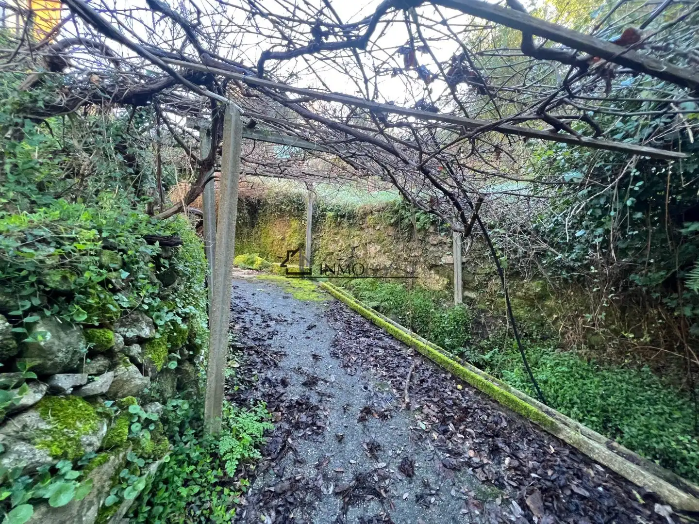 Vista exterior de Casa o chalet en venta en Cotobade con Jardín privado