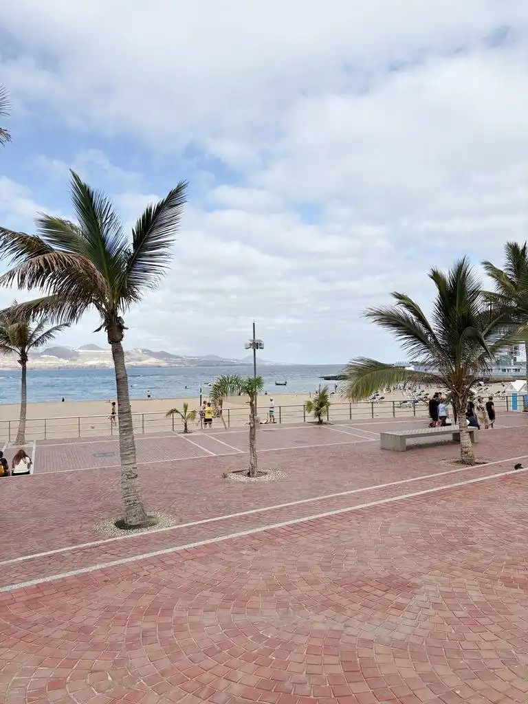 Exterior view of Study for sale in Las Palmas de Gran Canaria