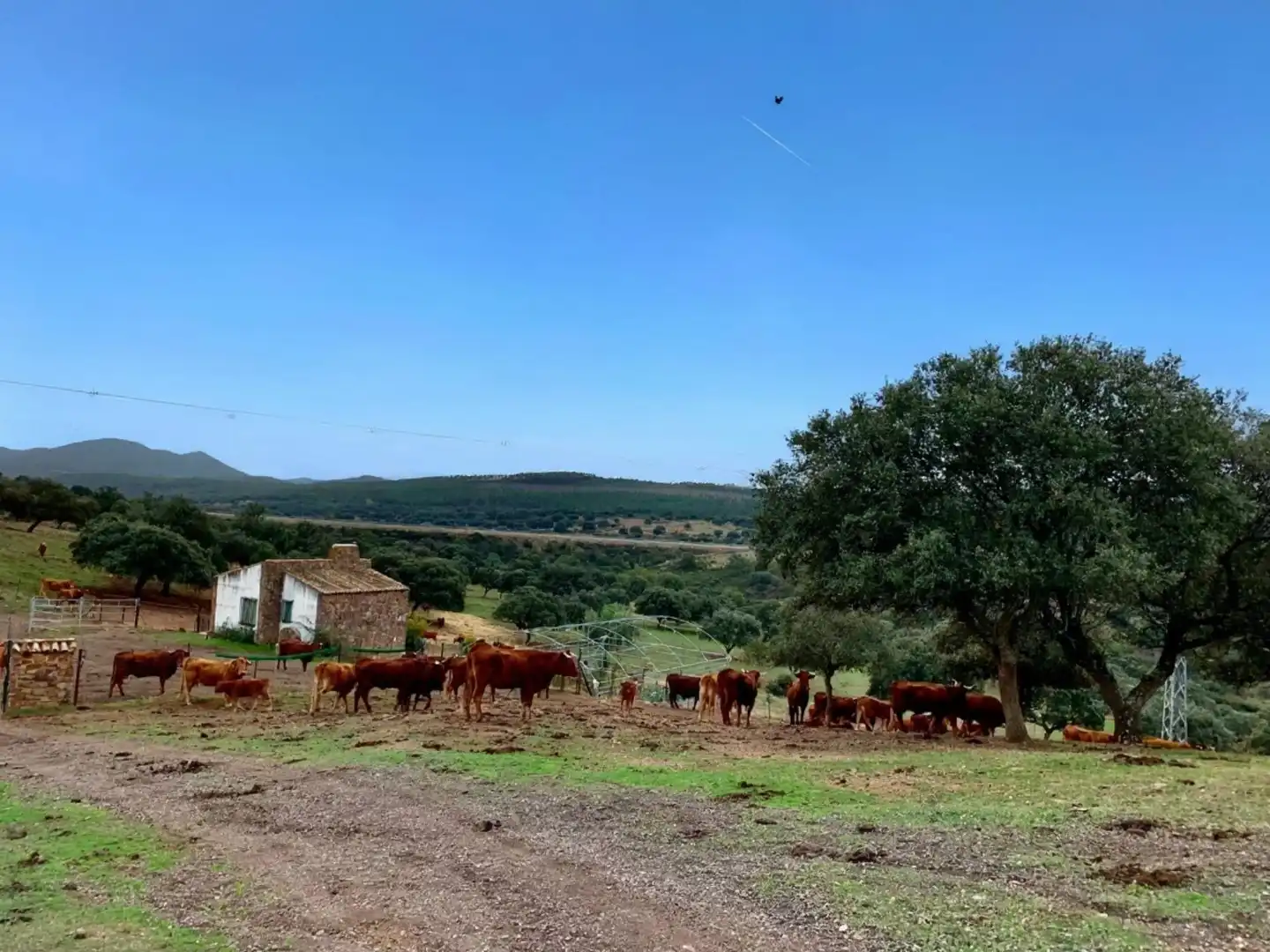 Exterior view of Land for sale in Garbayuela