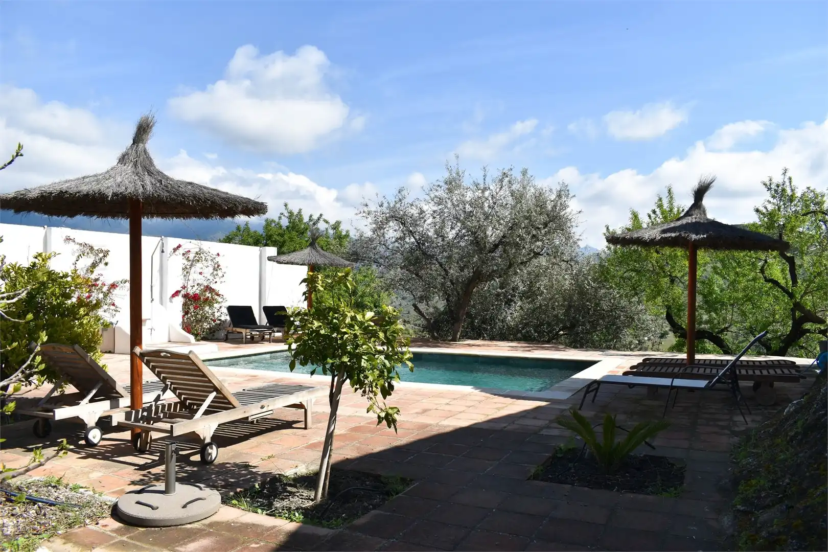Jardí de Casa o xalet en venda en Arenas amb Aire condicionat, Jardí privat i Terrassa