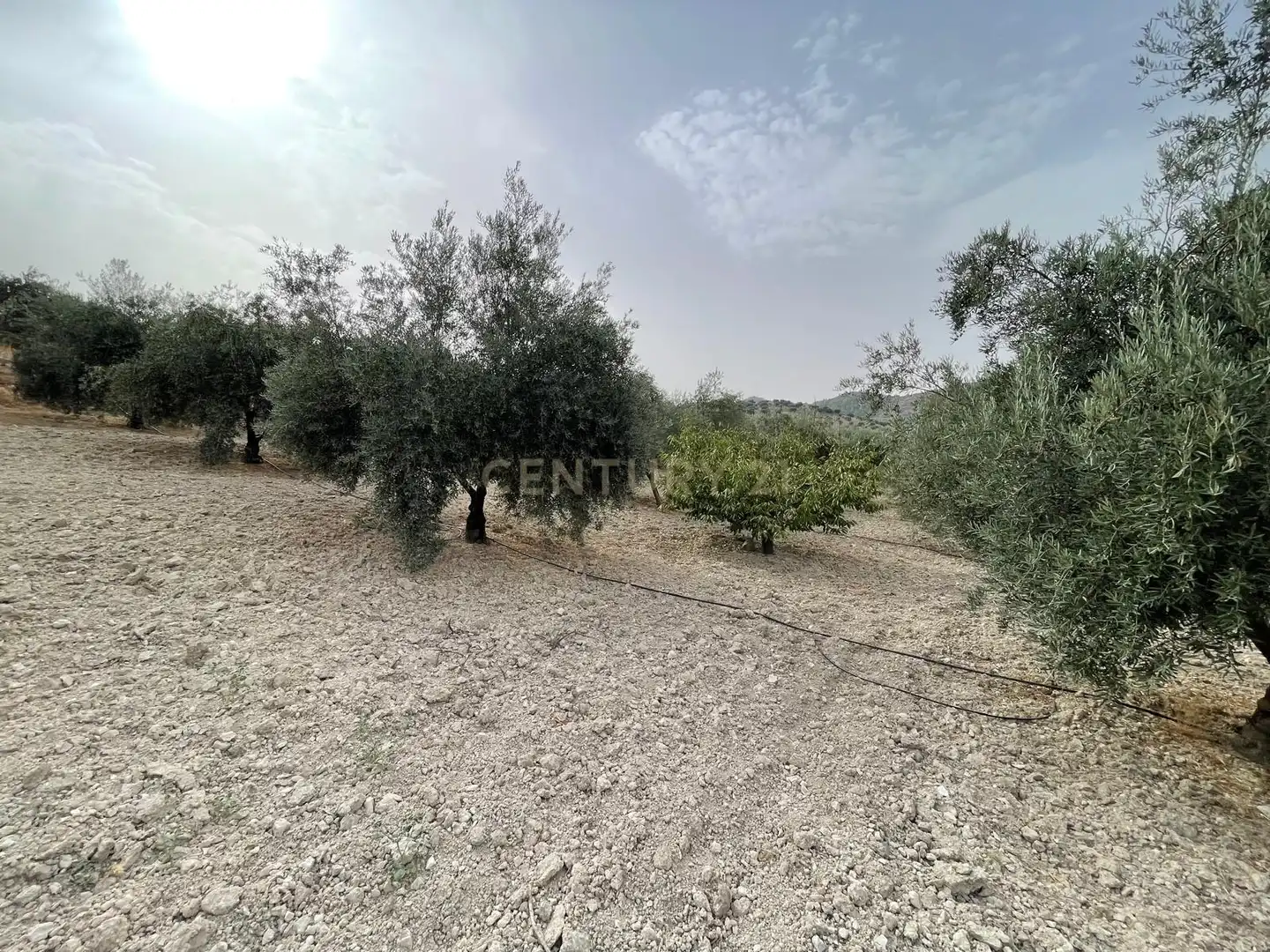 Rustikales Grundstück zum Verkauf in 18260 Íllora, Spain, imagen 4