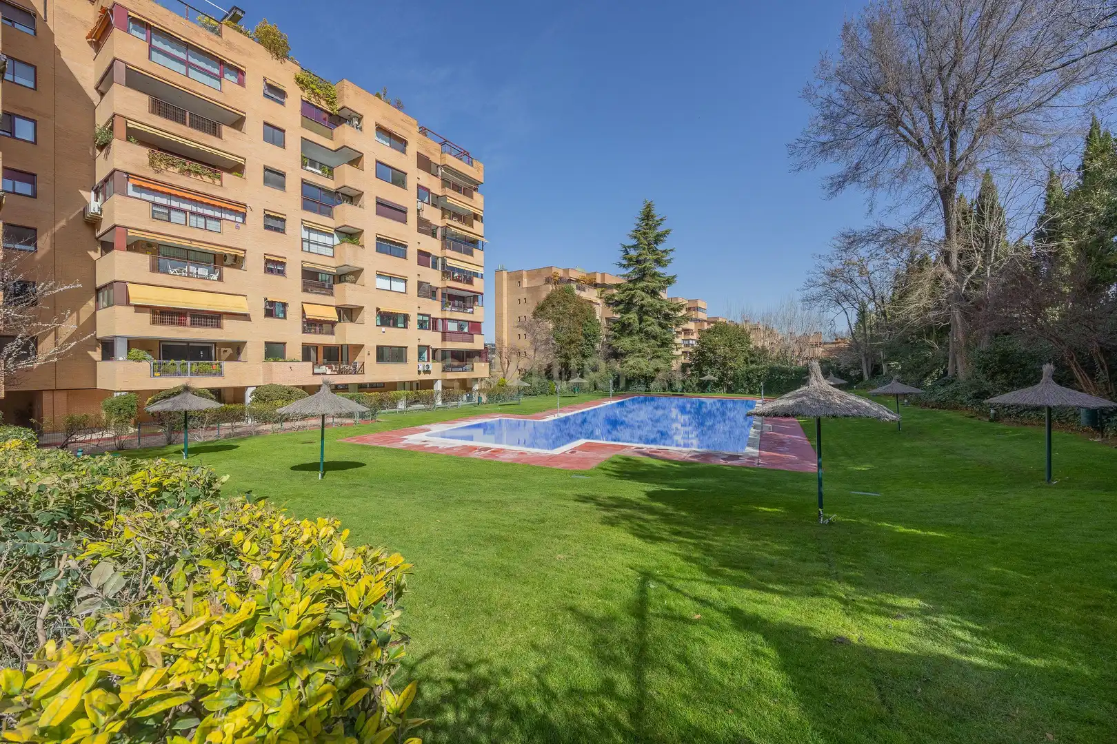 Jardín de Apartamento en venta en Madrid con Piscina