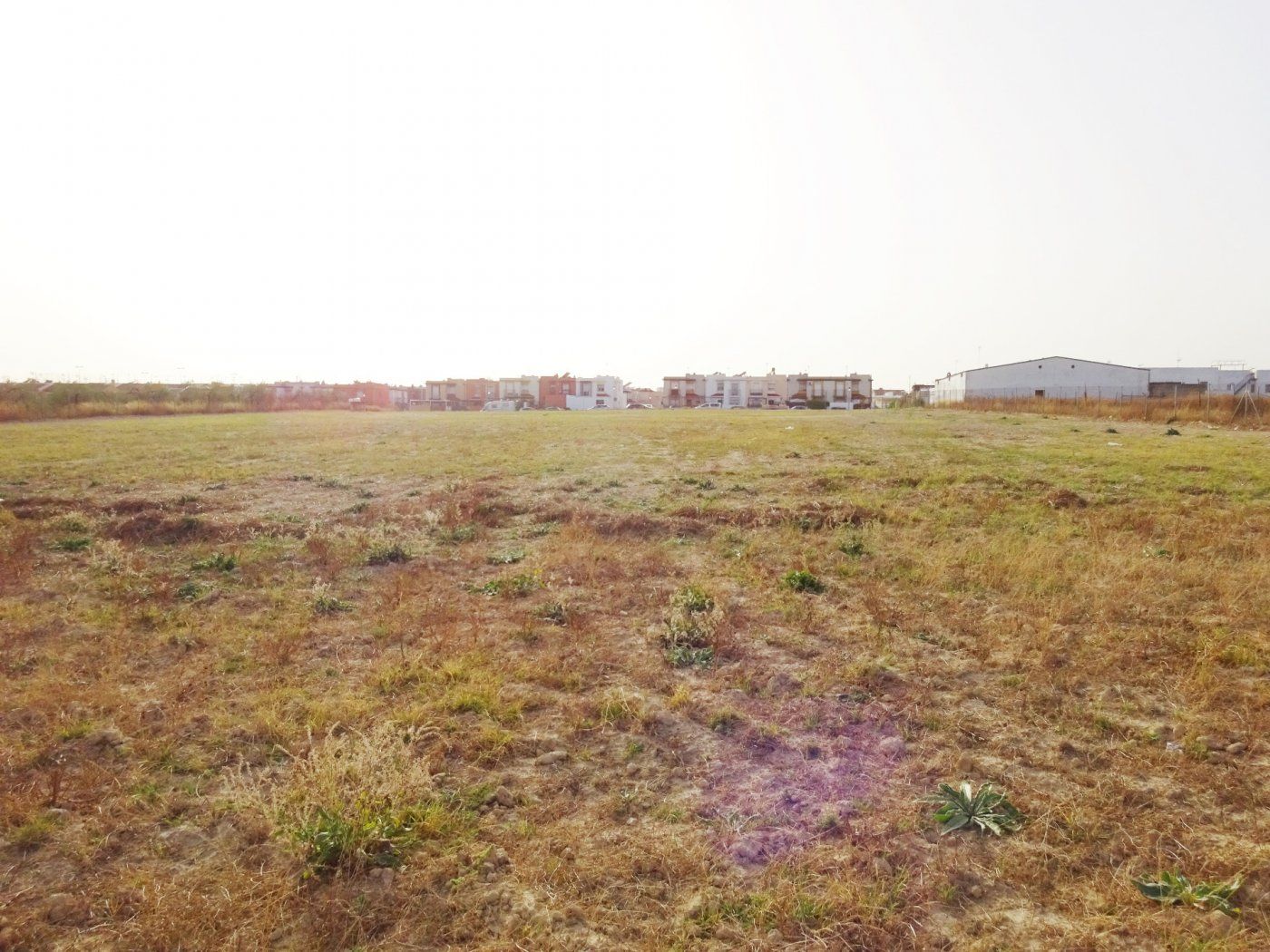 Residential for sale in Olivares