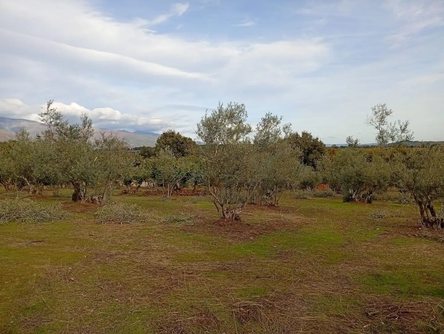 Terreni e lotti in vendita a Villanueva de la Vera, imagen 32