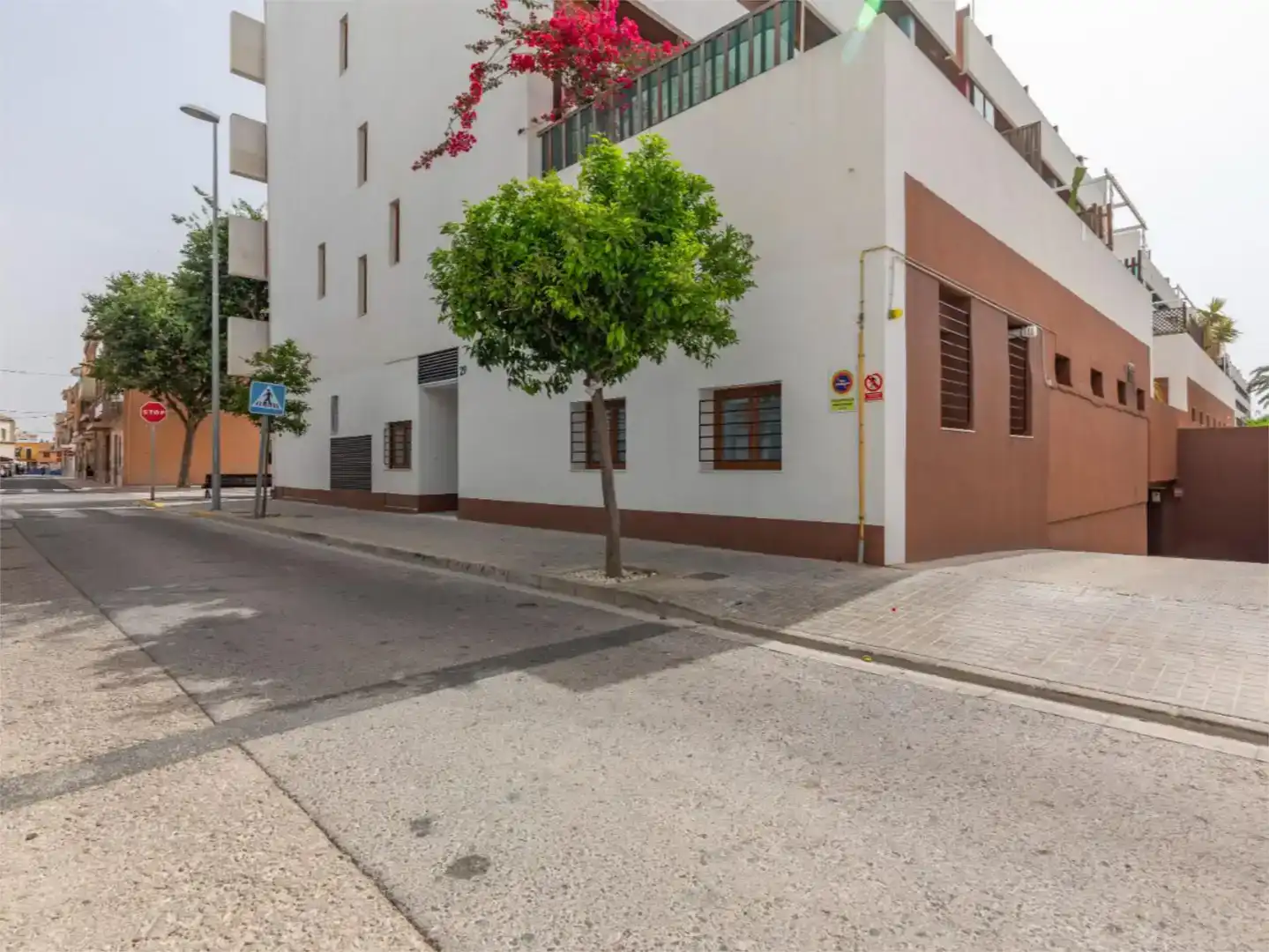 Vista exterior de Planta baixa de lloguer en Massalfassar amb Aire condicionat i Moblat