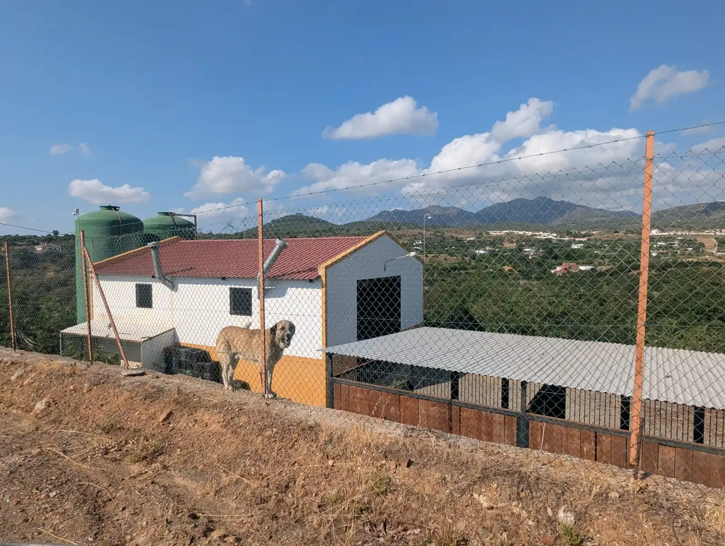 Terreno rustico in vendita a N/A, imagen 6