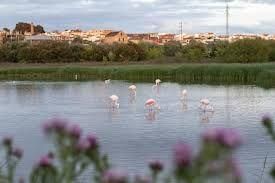 Casa adosada en venta en Alameda