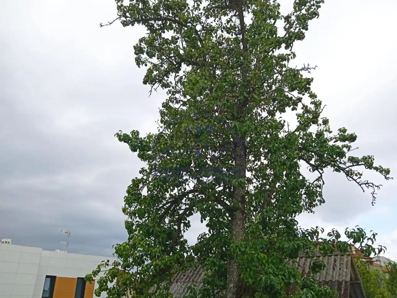 Wohnbaugrundstück zum Verkauf in Camiño Finca Pateira, imagen 7