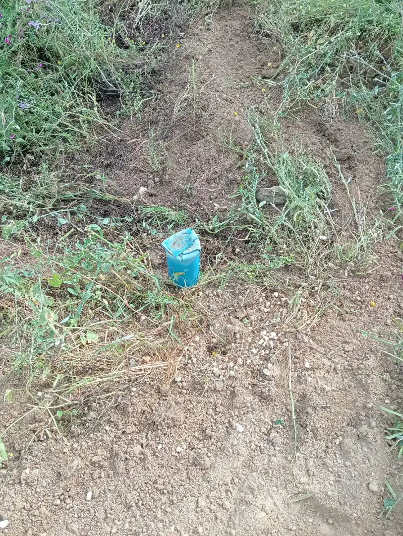 Terreno rustico in vendita a Monda, imagen 13