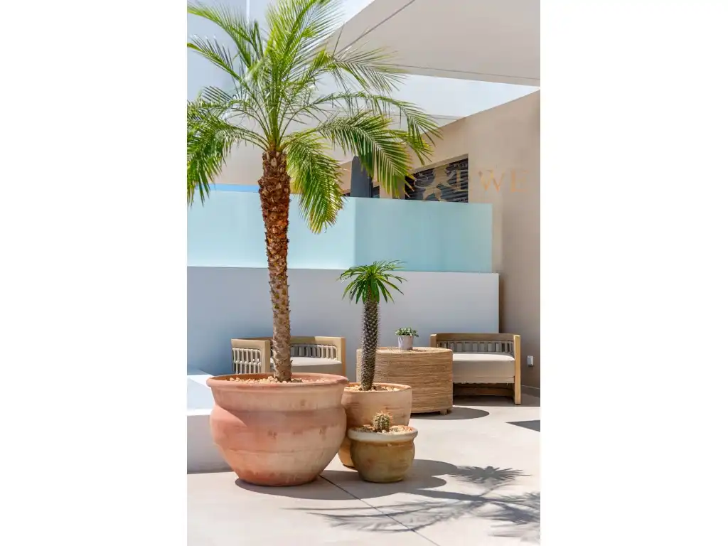 Maison avec piscine à vendre à Dolores, imagen 25