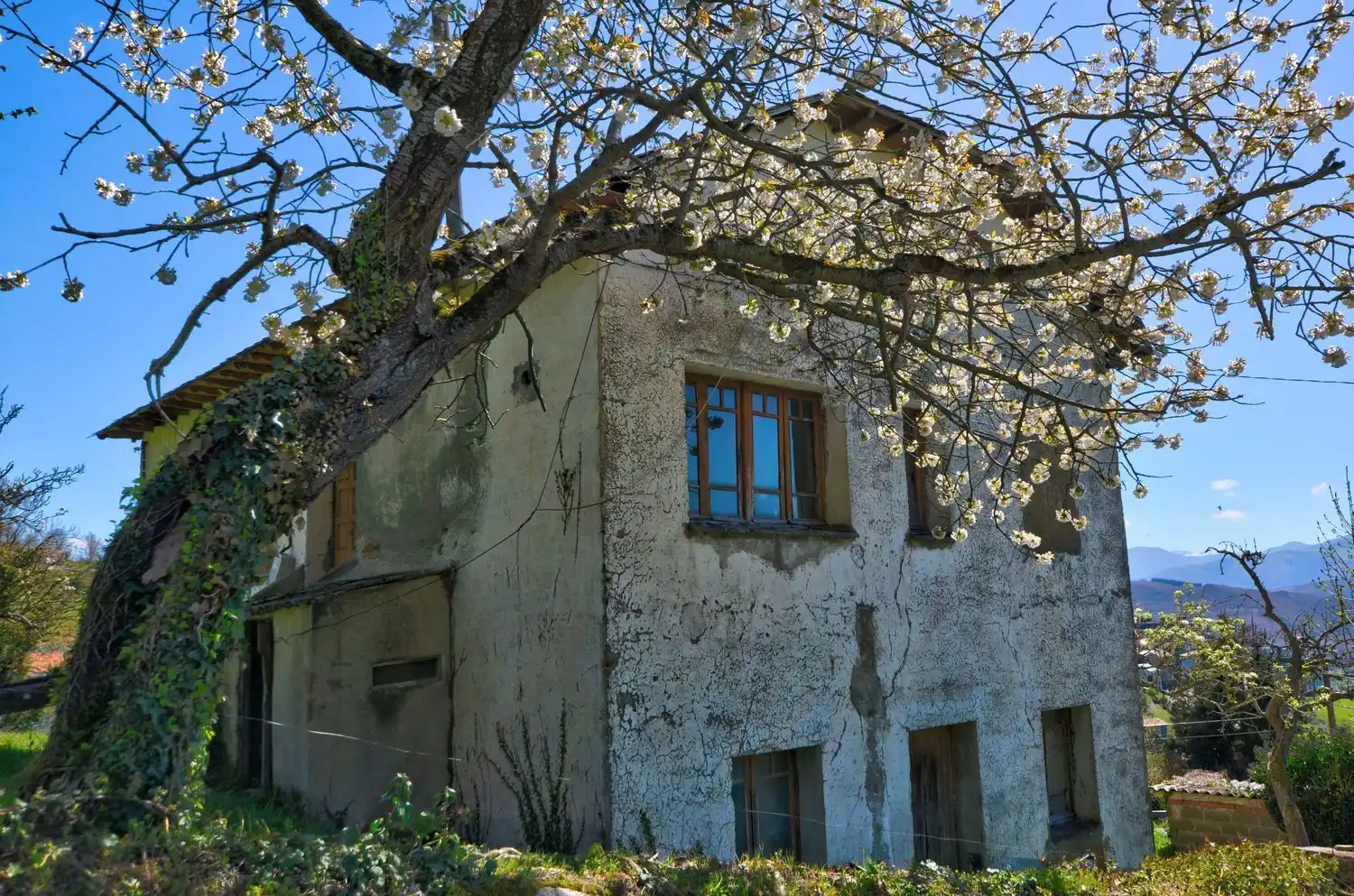 Vista exterior de Casa o chalet en venta en Tineo con Piscina