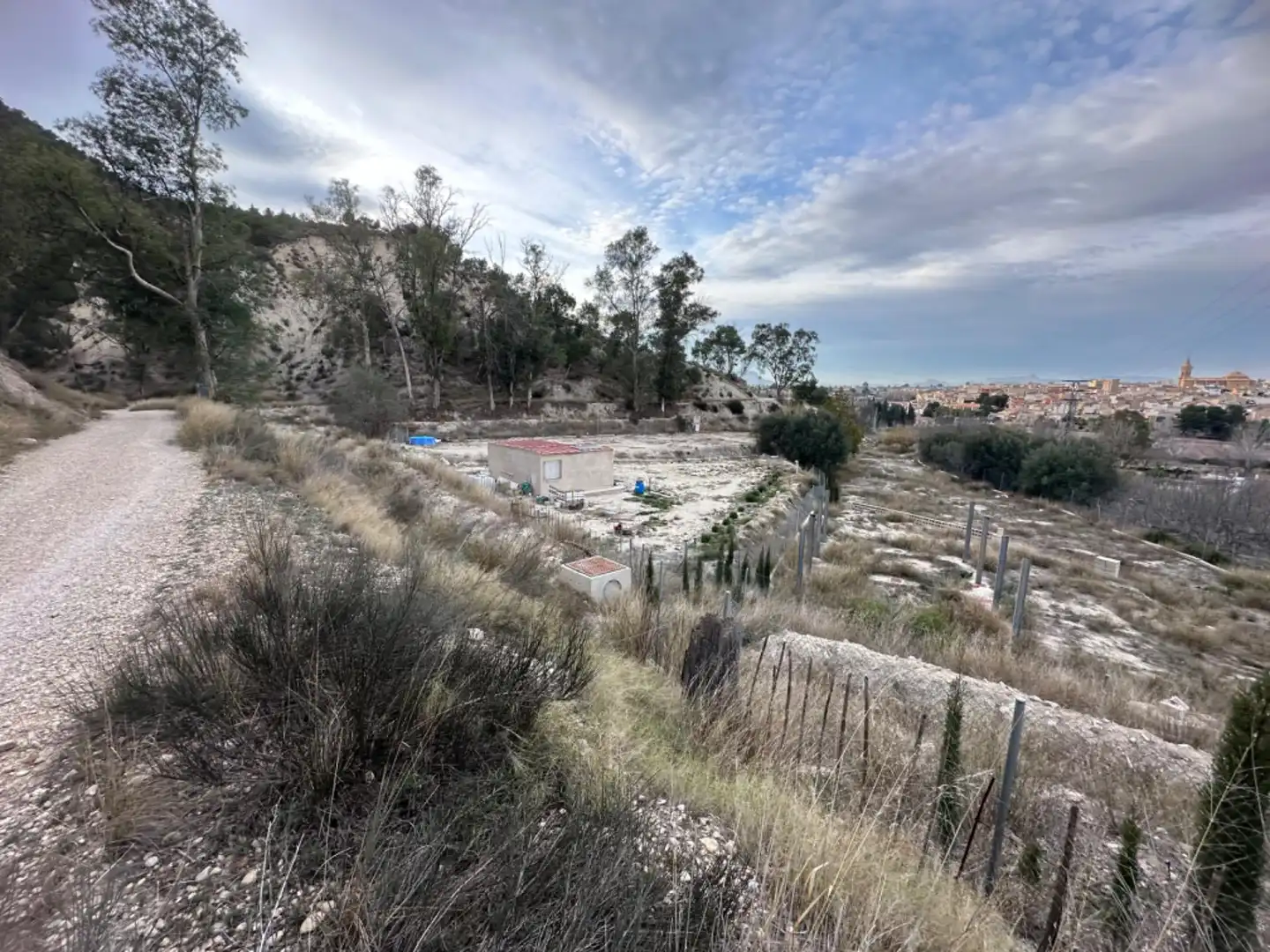 Rustikales Grundstück zum Verkauf in Cieza, imagen 6