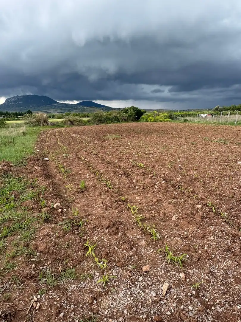Terrenys i solars en venda a Alberite, imagen 6