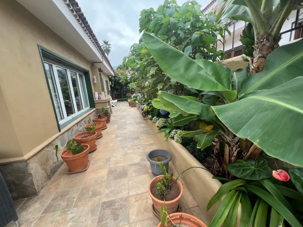 Terraza de Casa o chalet en venta en La Orotava con Terraza