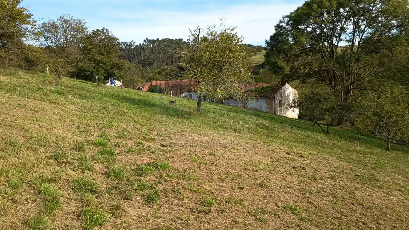 Residential land for sale in Corvera de Asturias, imagen 5