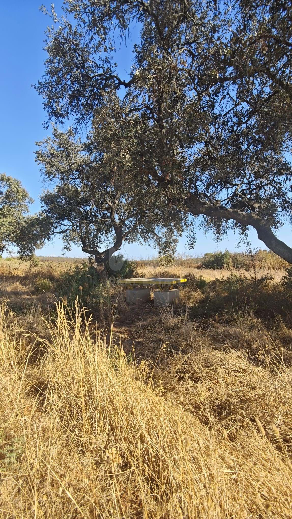 Residential for sale in Villablanca