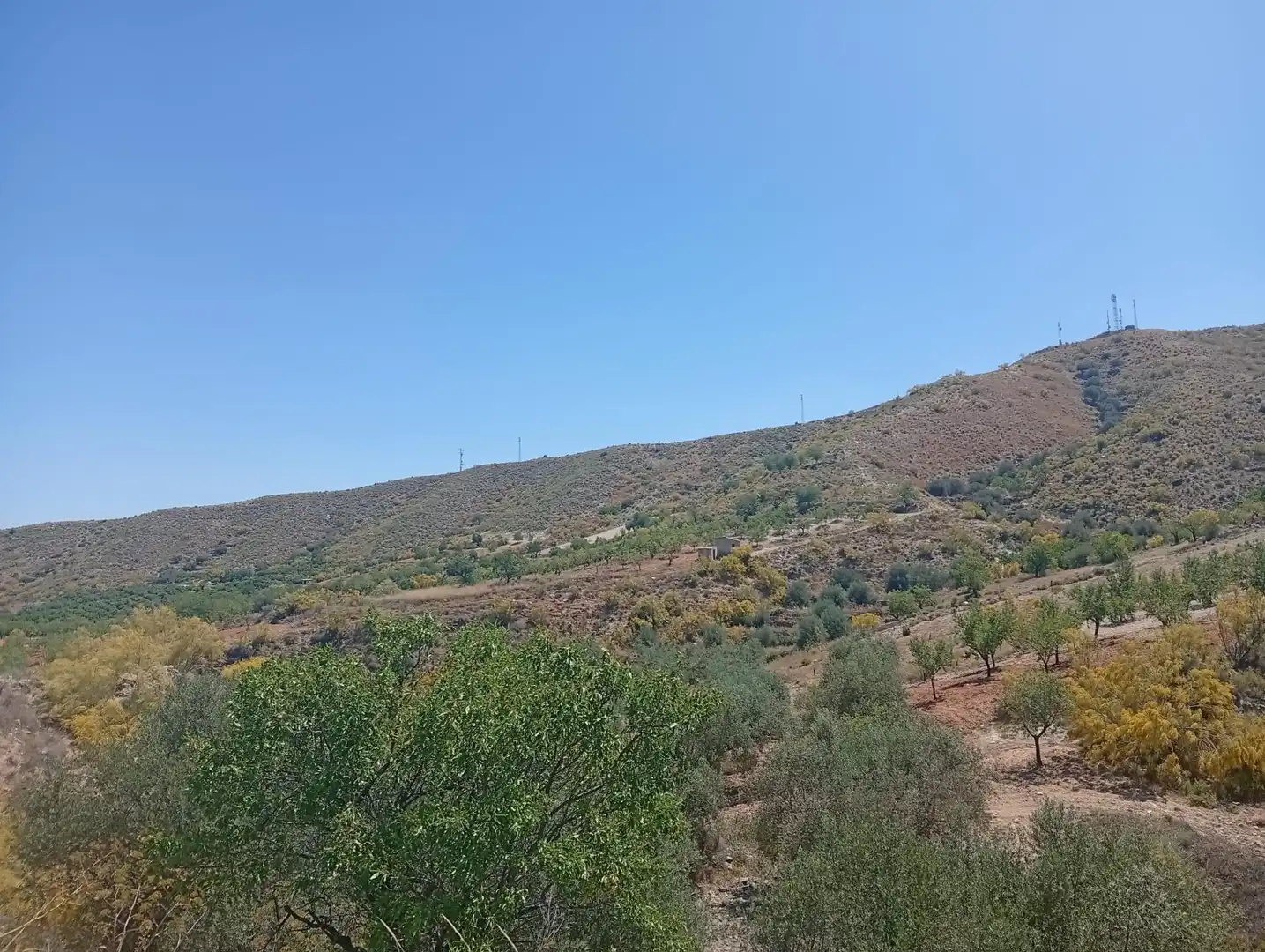 Rural land for sale in Lubrín, imagen 13