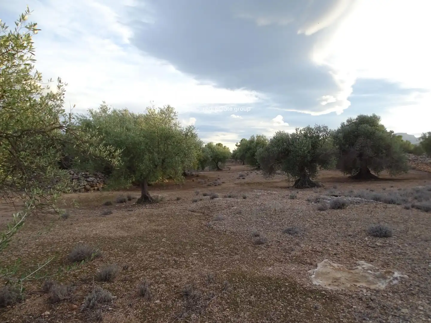 Terrain résidentiel à vendre à 16, imagen 11