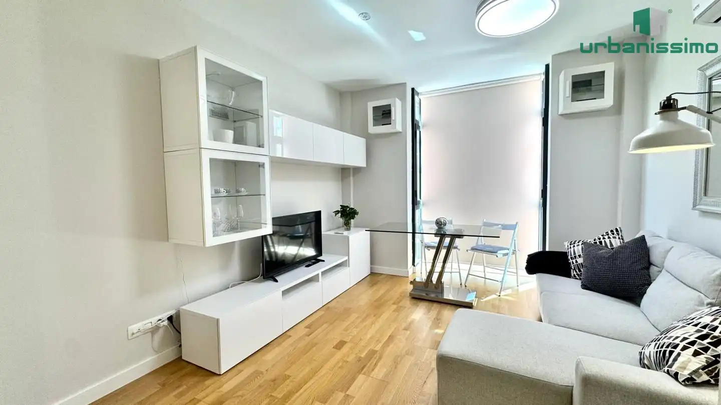 Sala d'estar de Apartament de lloguer en Madrid amb Aire condicionat, Traster i Moblat