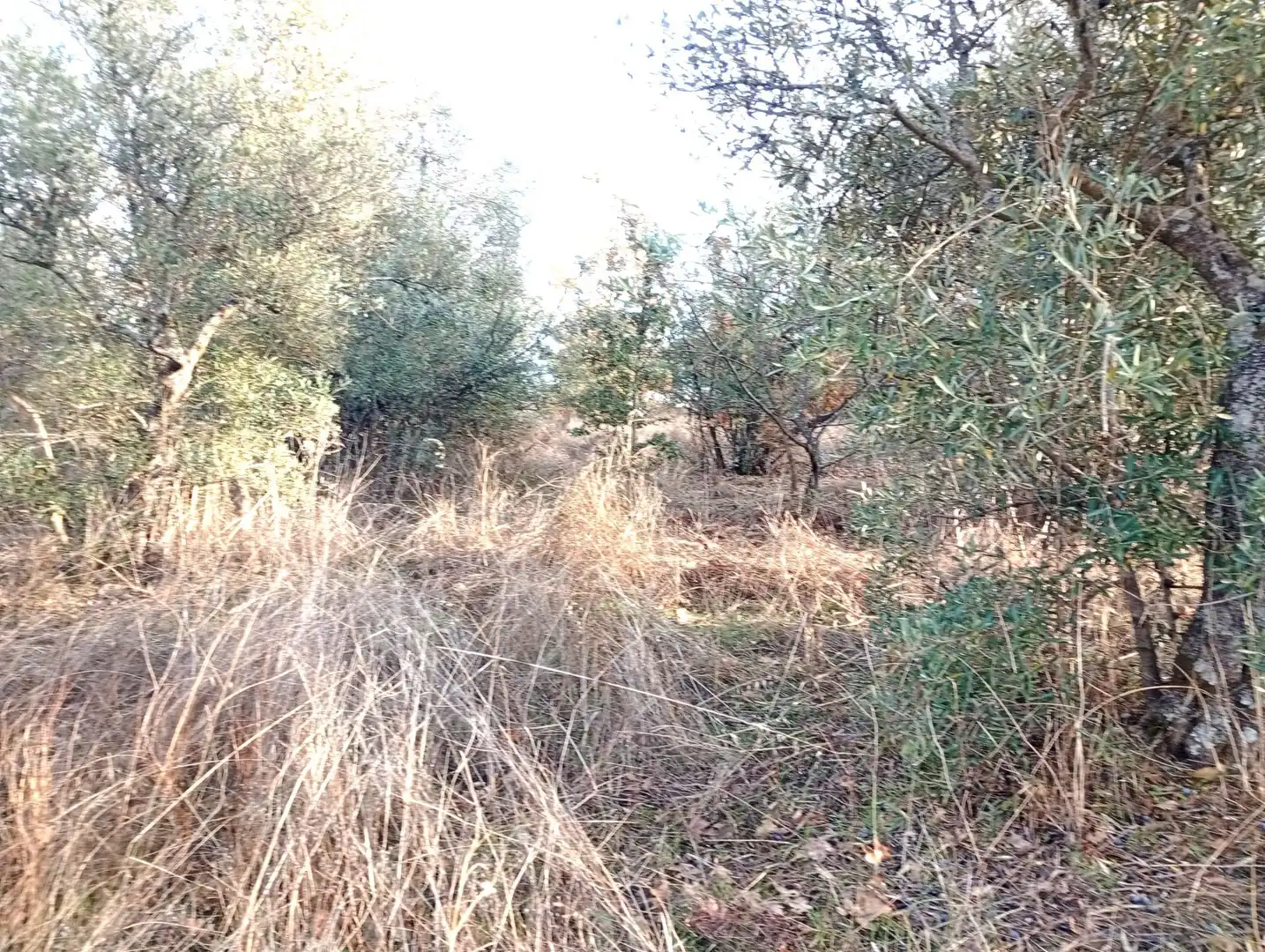 Terreni e lotti in vendita a Viandar de la Vera, imagen 13