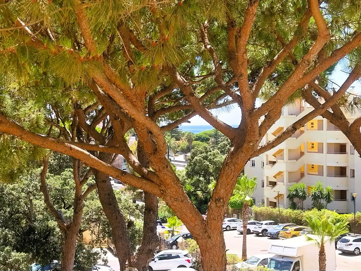 Apartamento con piscina en venta en Calle AGUILA REAL, imagen 22