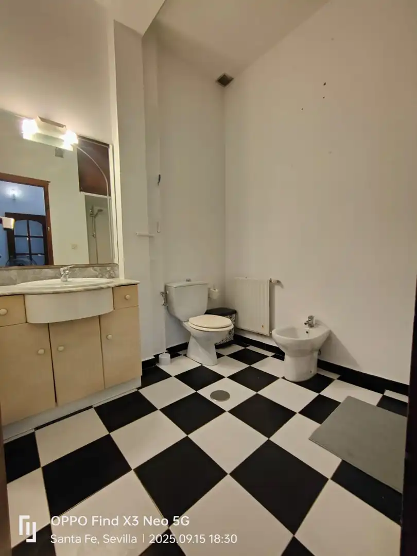 Baño de Casa o chalet en venta en Carmona con Terraza
