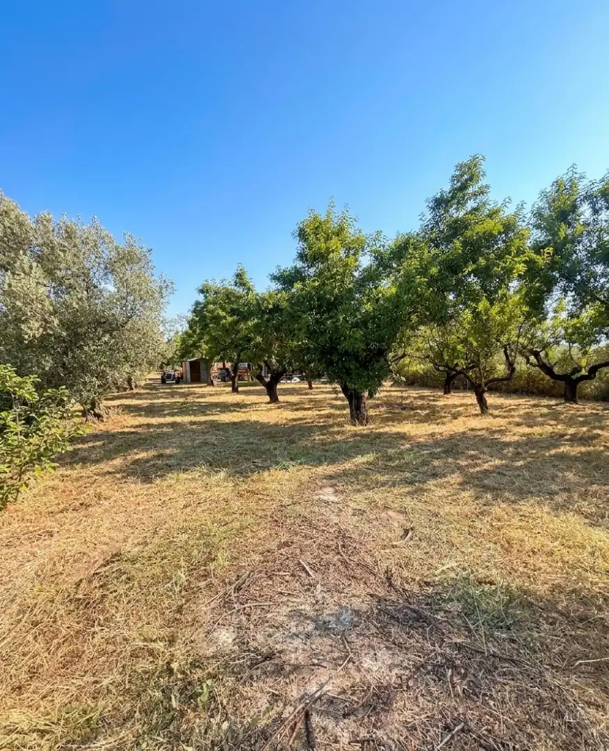 Terrain rustique à vendre à Camí de Perafita 71, imagen 15