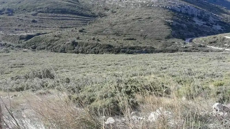 Land for sale in Tírig