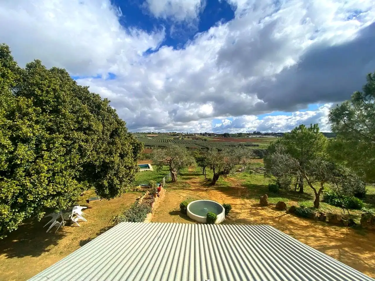 Jardín de Finca rústica en venta en El Viso del Alcor