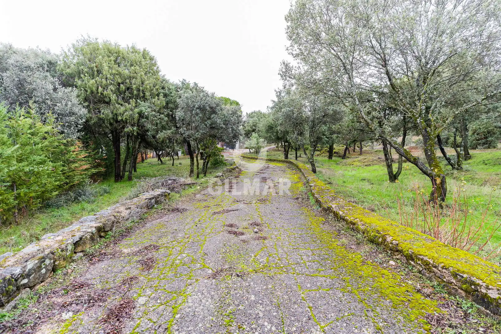Casa o xalet en venda en Collado Villalba amb Calefacció i Jardí privat