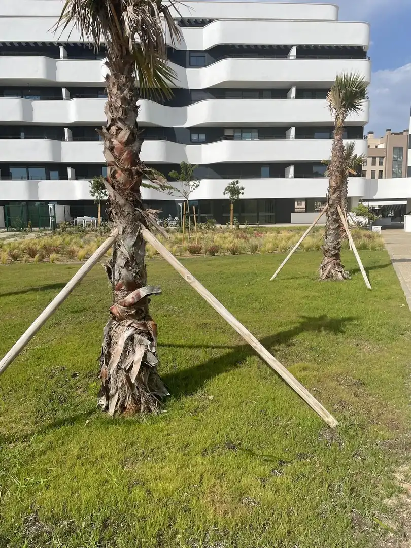 Jardí de Àtic en venda en Torremolinos amb Aire condicionat, Terrassa i Traster