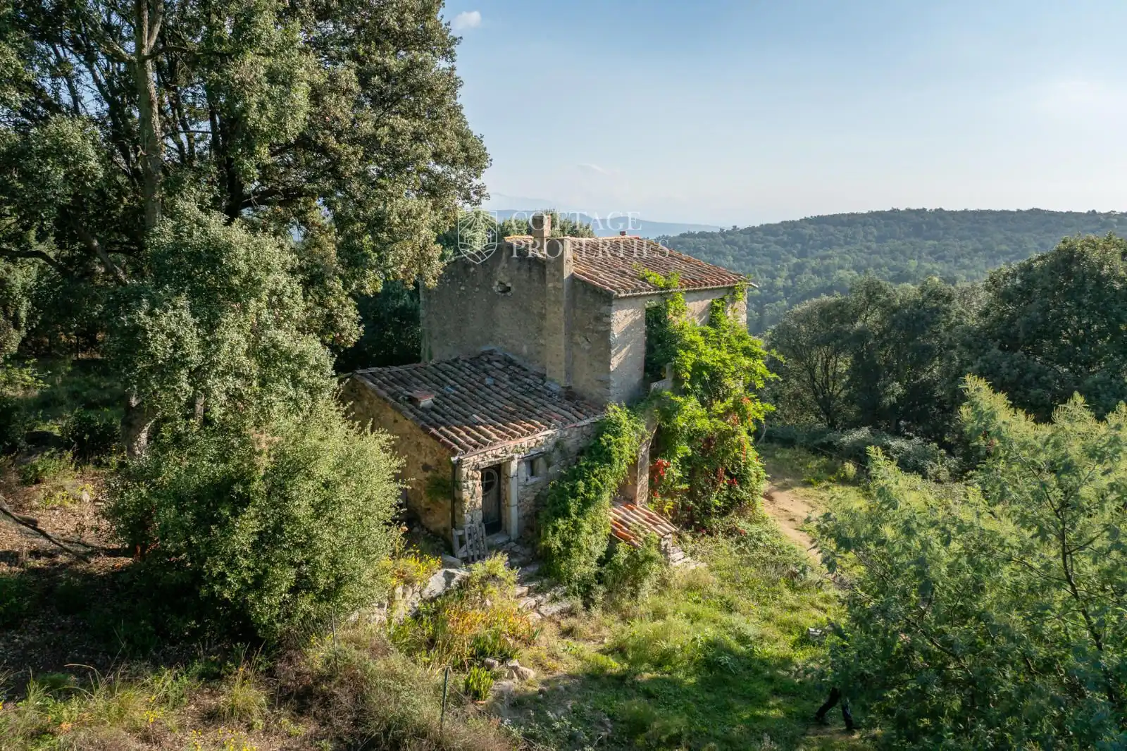 Vista exterior de Finca rústica en venta en Maçanet de Cabrenys