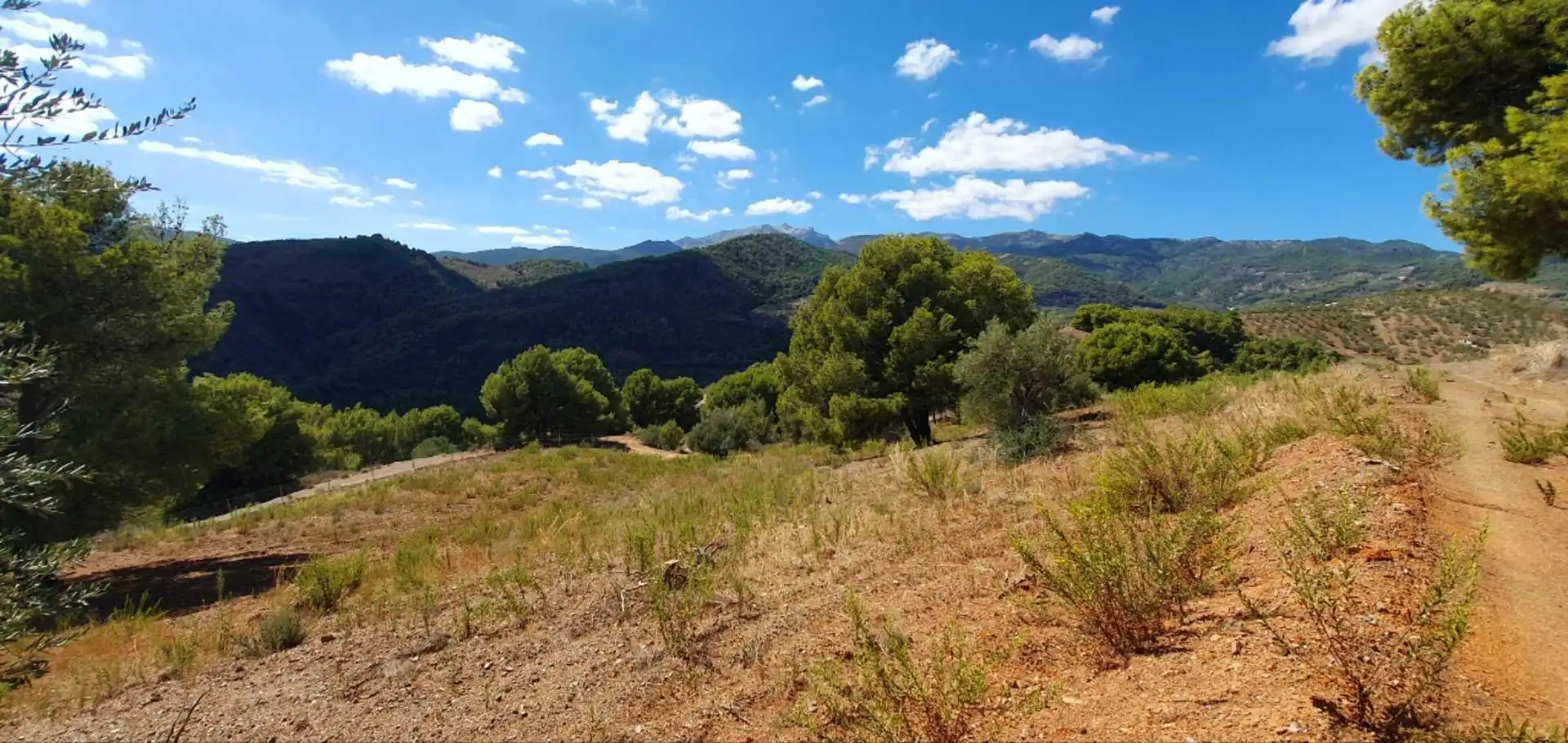 Casa rústica amb jardí en venda a Yunquera, imagen 26