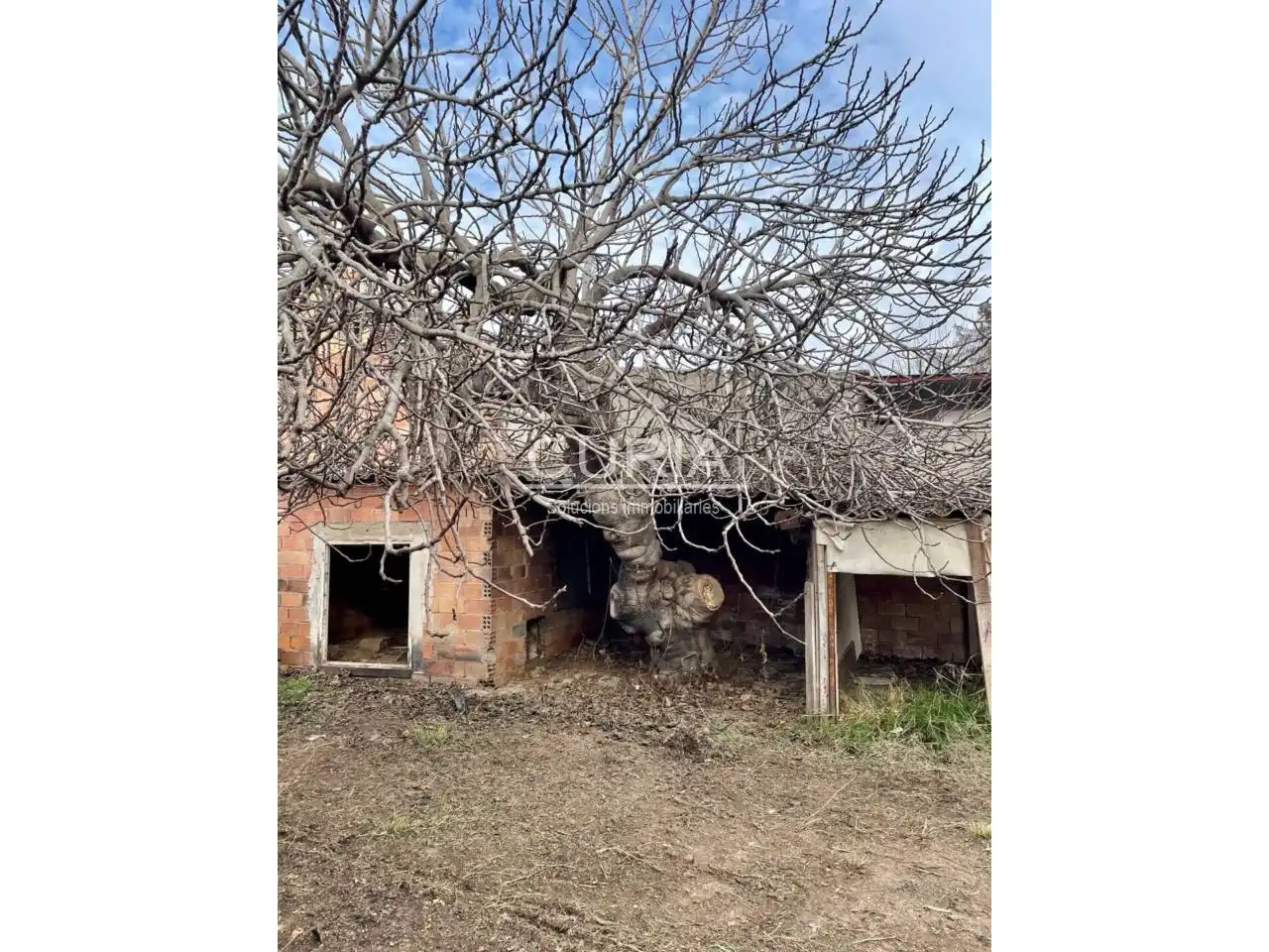 Rural land for sale in Calle Farraginals, imagen 3