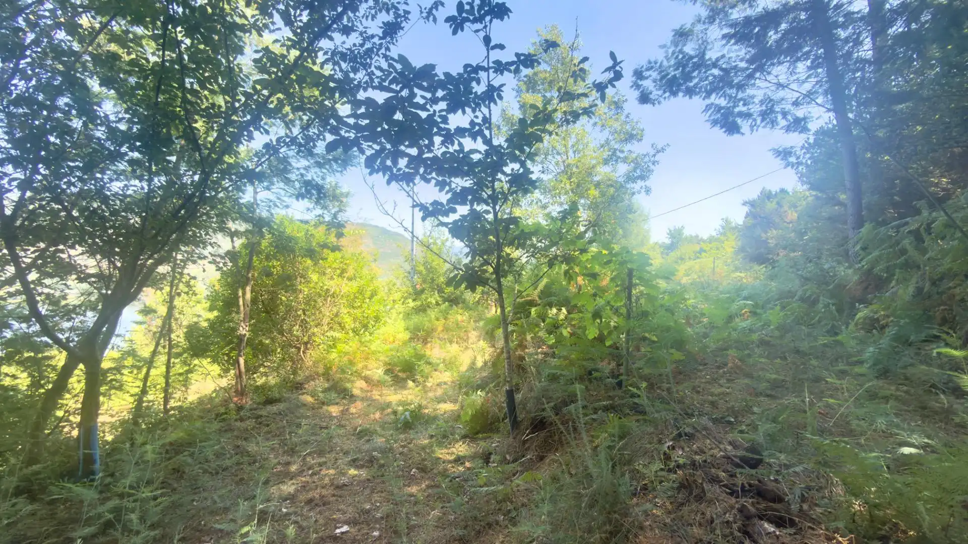 Finca rústica en venda en Castrelo de Miño amb Jardí privat, Terrassa i Moblat