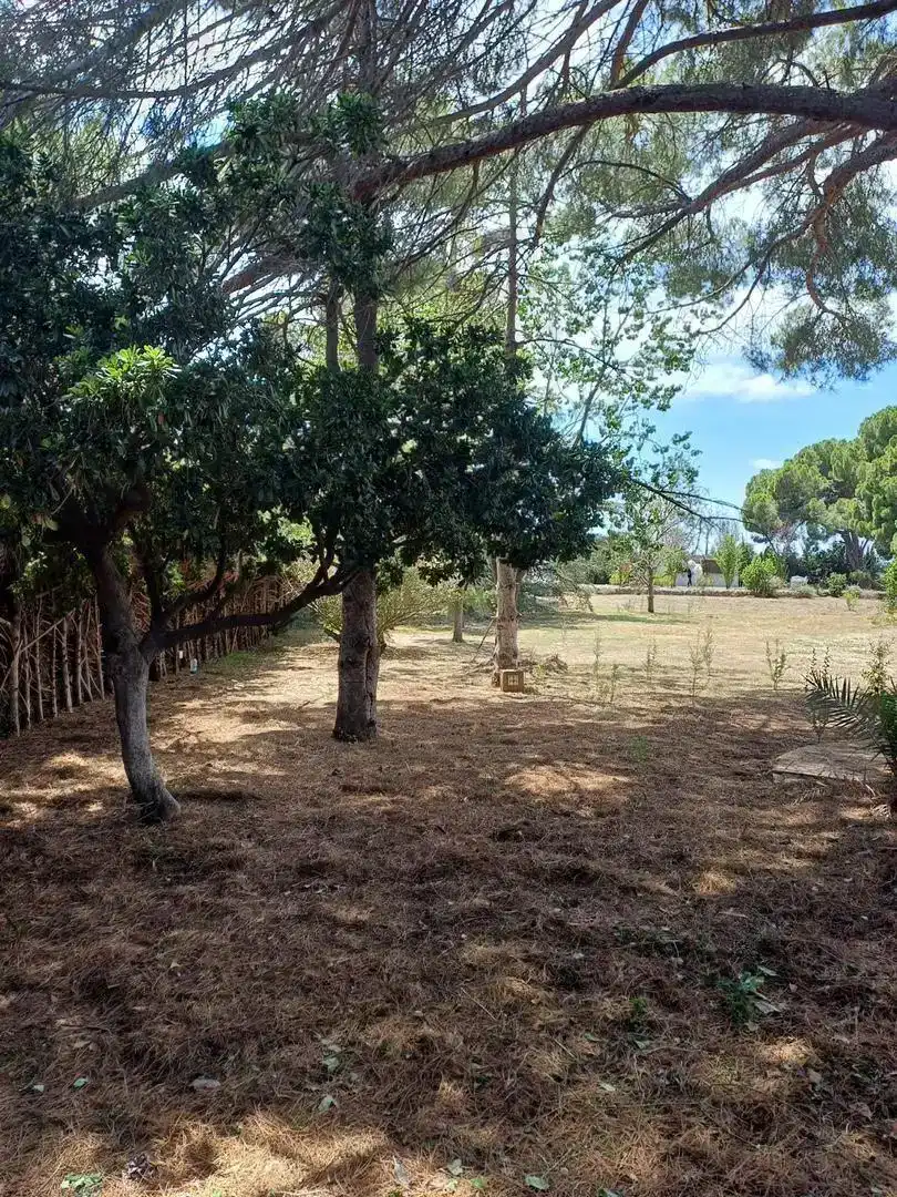 Casa o xalet en venda en Vilallonga del Camp amb Jardí privat, Parquet i Traster
