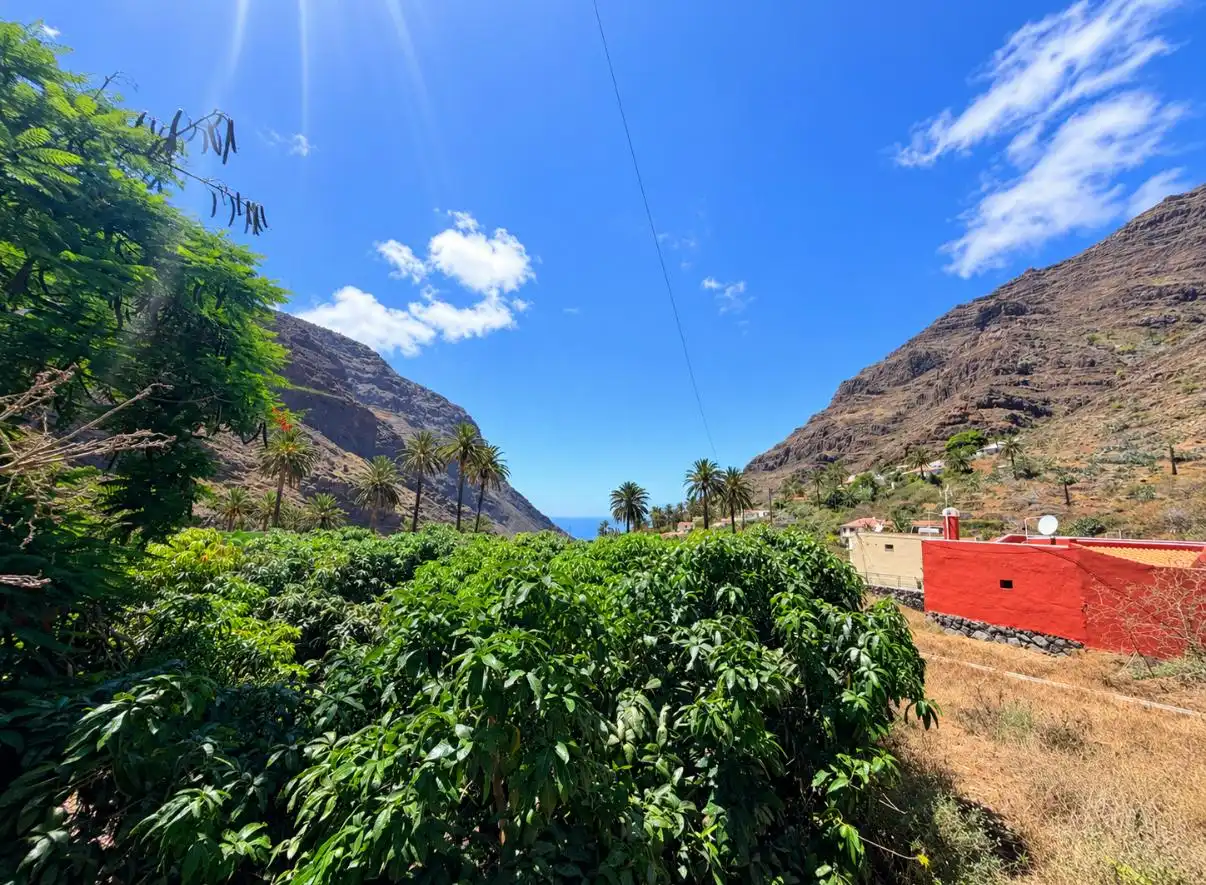 Vista exterior de Casa o chalet en venta en Valle Gran Rey con Jardín privado, Terraza y Amueblado