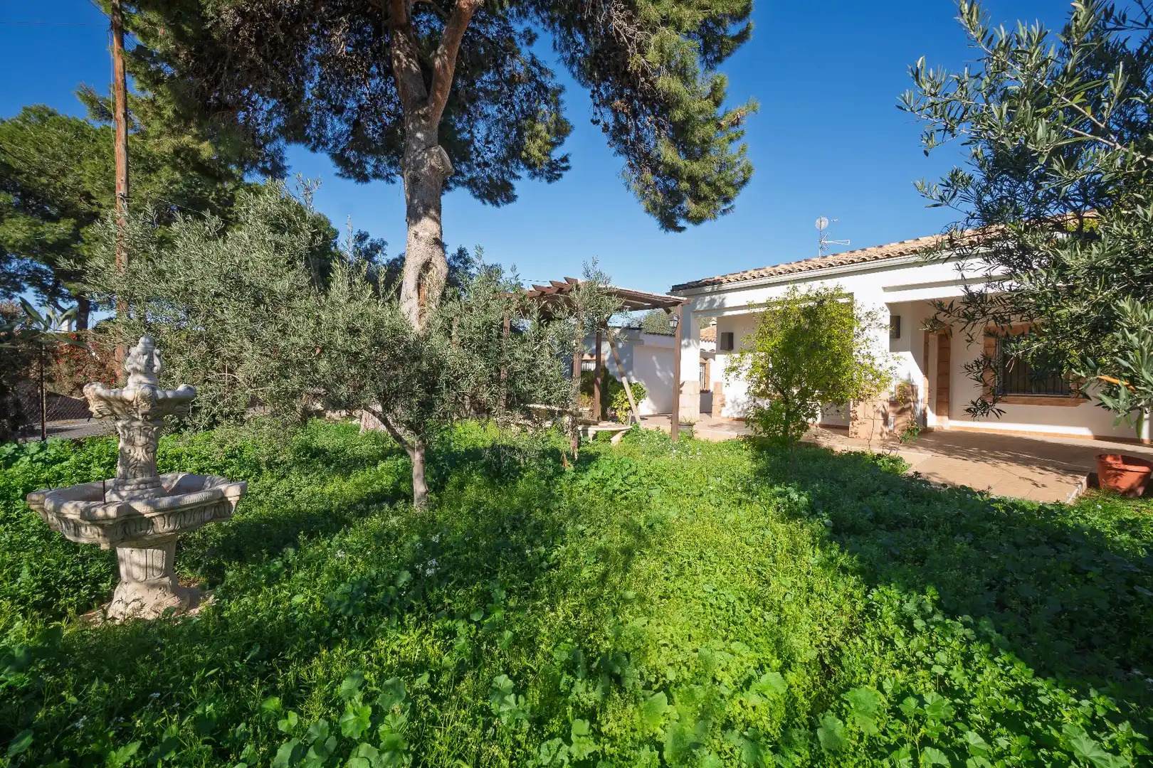 Villa avec piscine à vendre à Partida MAITINO, imagen 38
