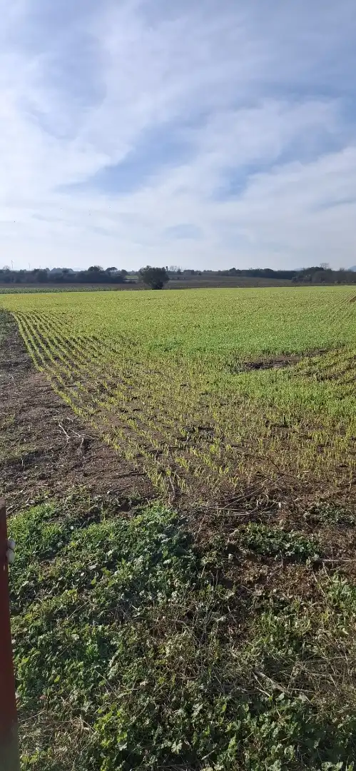 Terreno en venta en Vilafant
