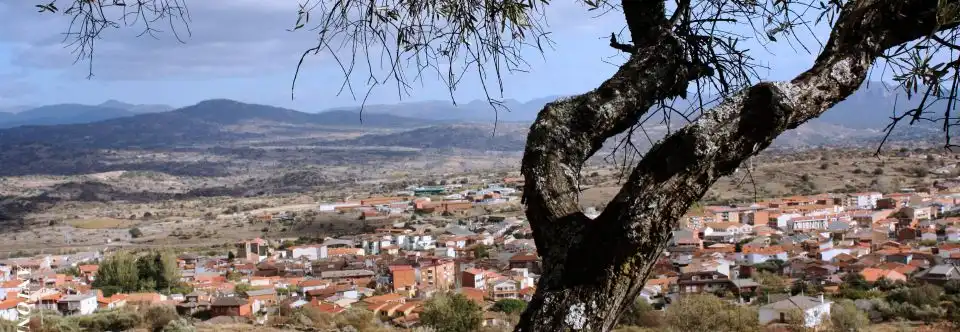 Residential land for sale in Calle Castillo B 6, imagen 4