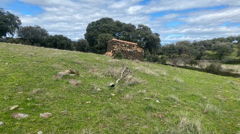 Foto 3 von Grundstücke zum Verkauf in Mohedas de la Jara, Toledo