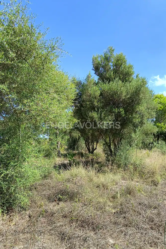 Terrenys i solars en venda a Pedreguer, imagen 3