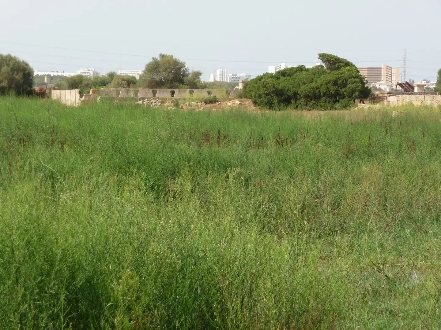 Finca rústica en venda a Son Ferriol