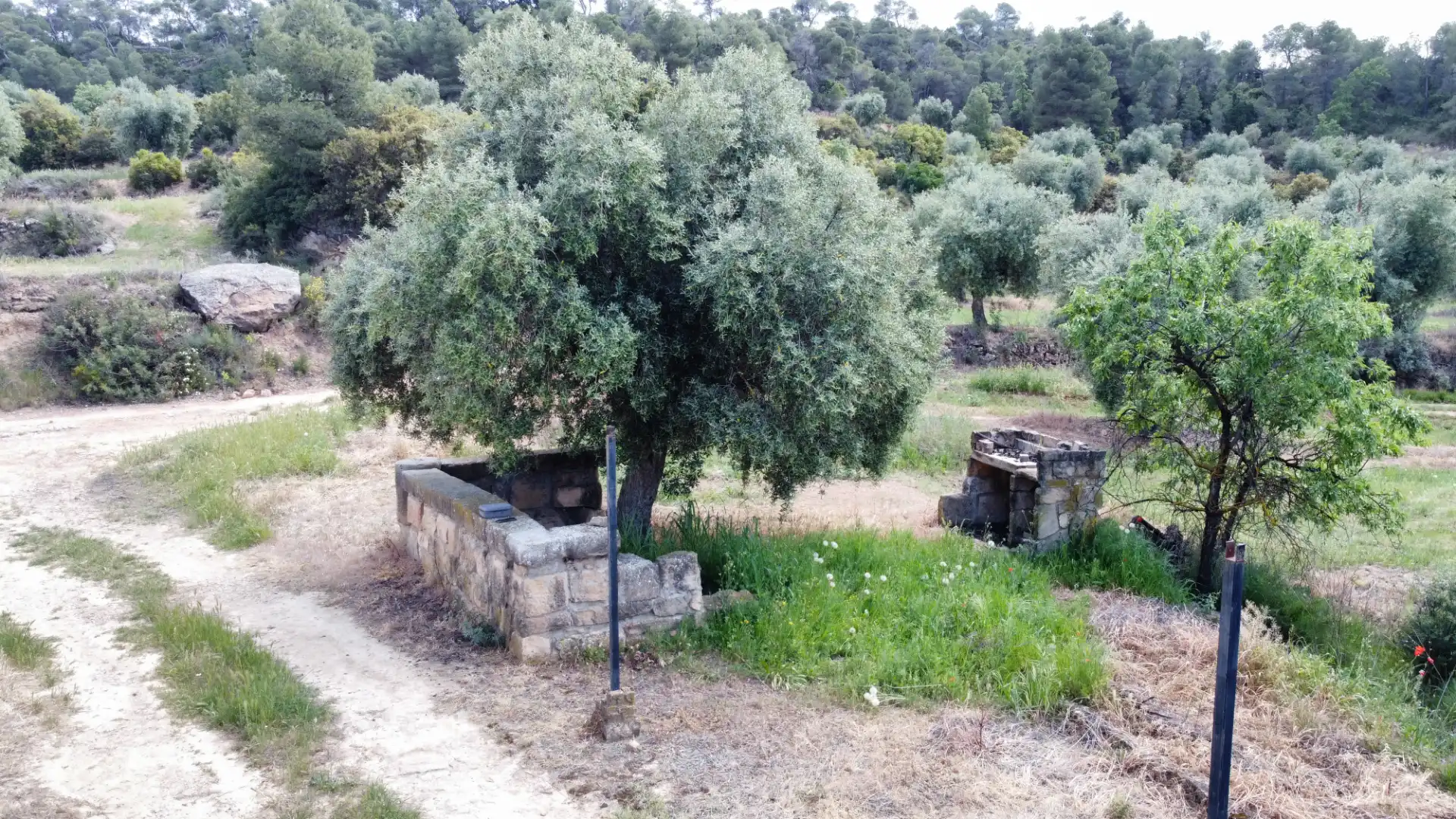 Land for sale in Juncosa