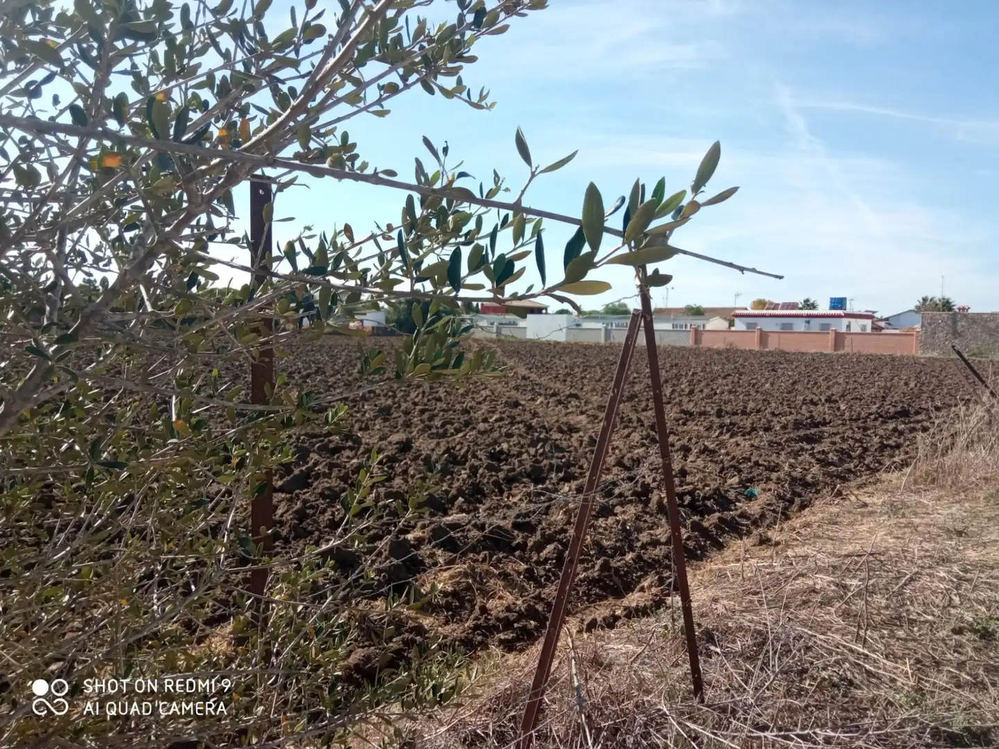 Terreni e lotti in vendita a Vejer, imagen 15