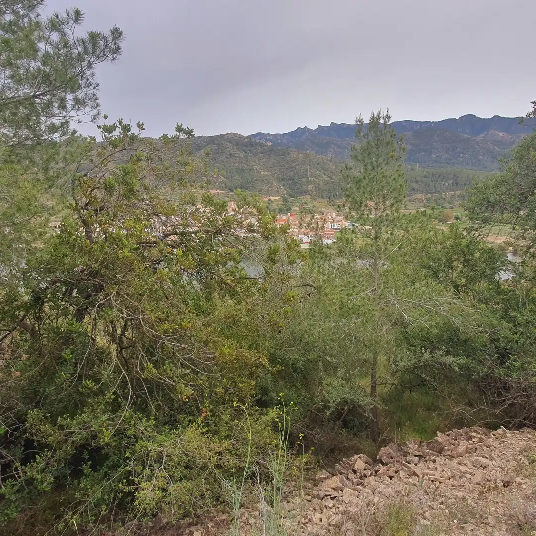 Terrain rustique à vendre à Benifallet, imagen 15
